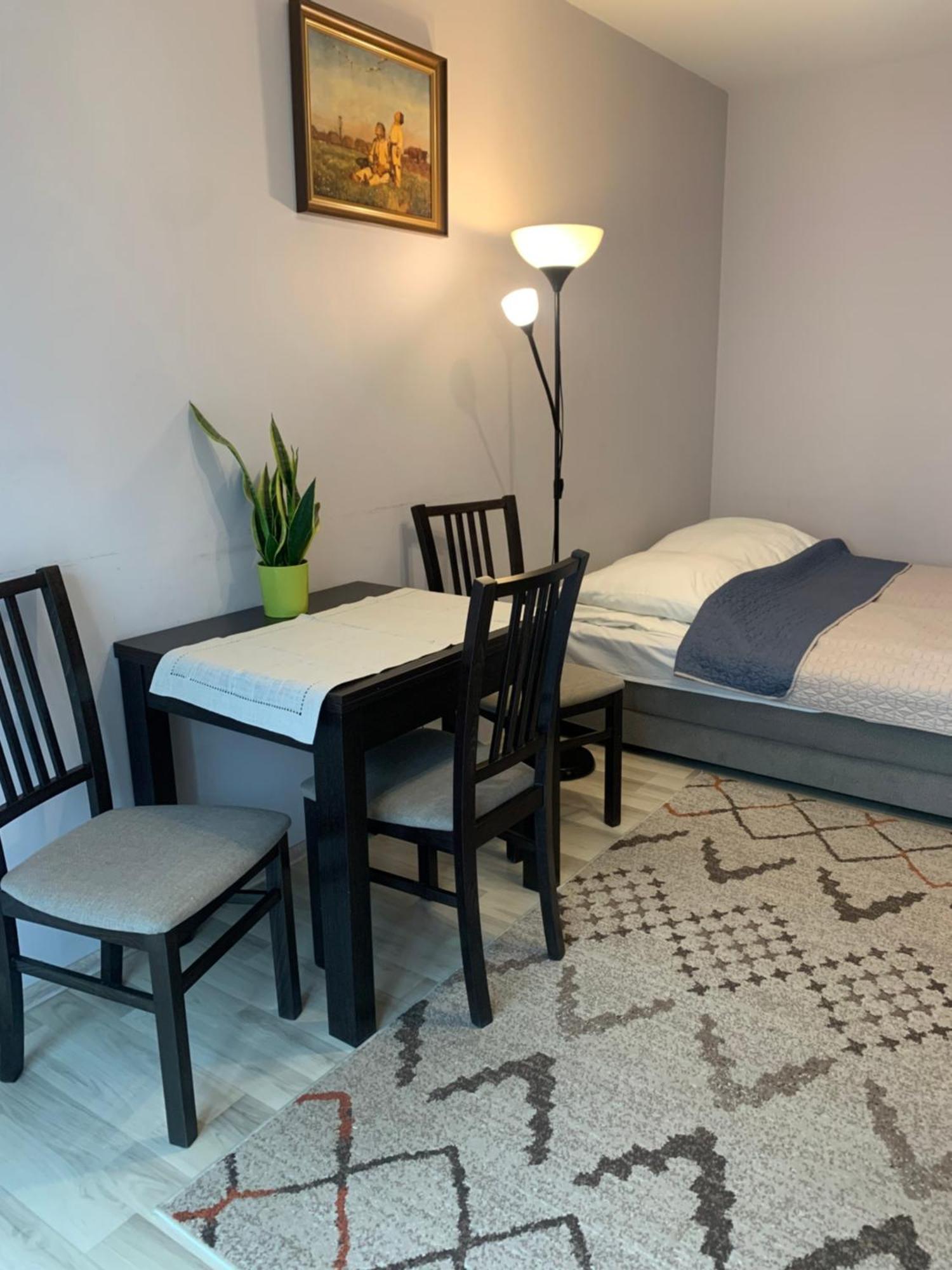 Apartament Lagiewniki 克拉科夫 外观 照片
