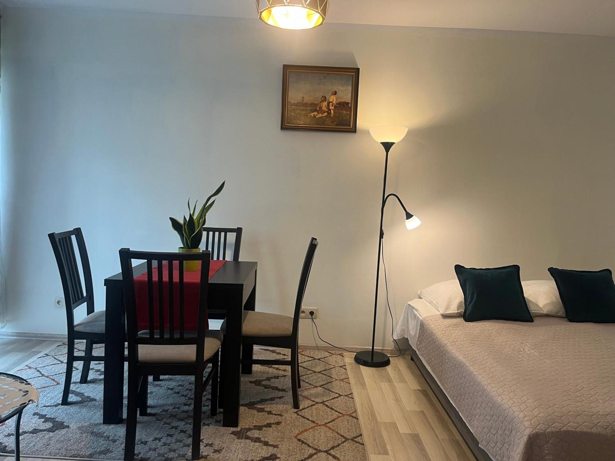 Apartament Lagiewniki 克拉科夫 外观 照片